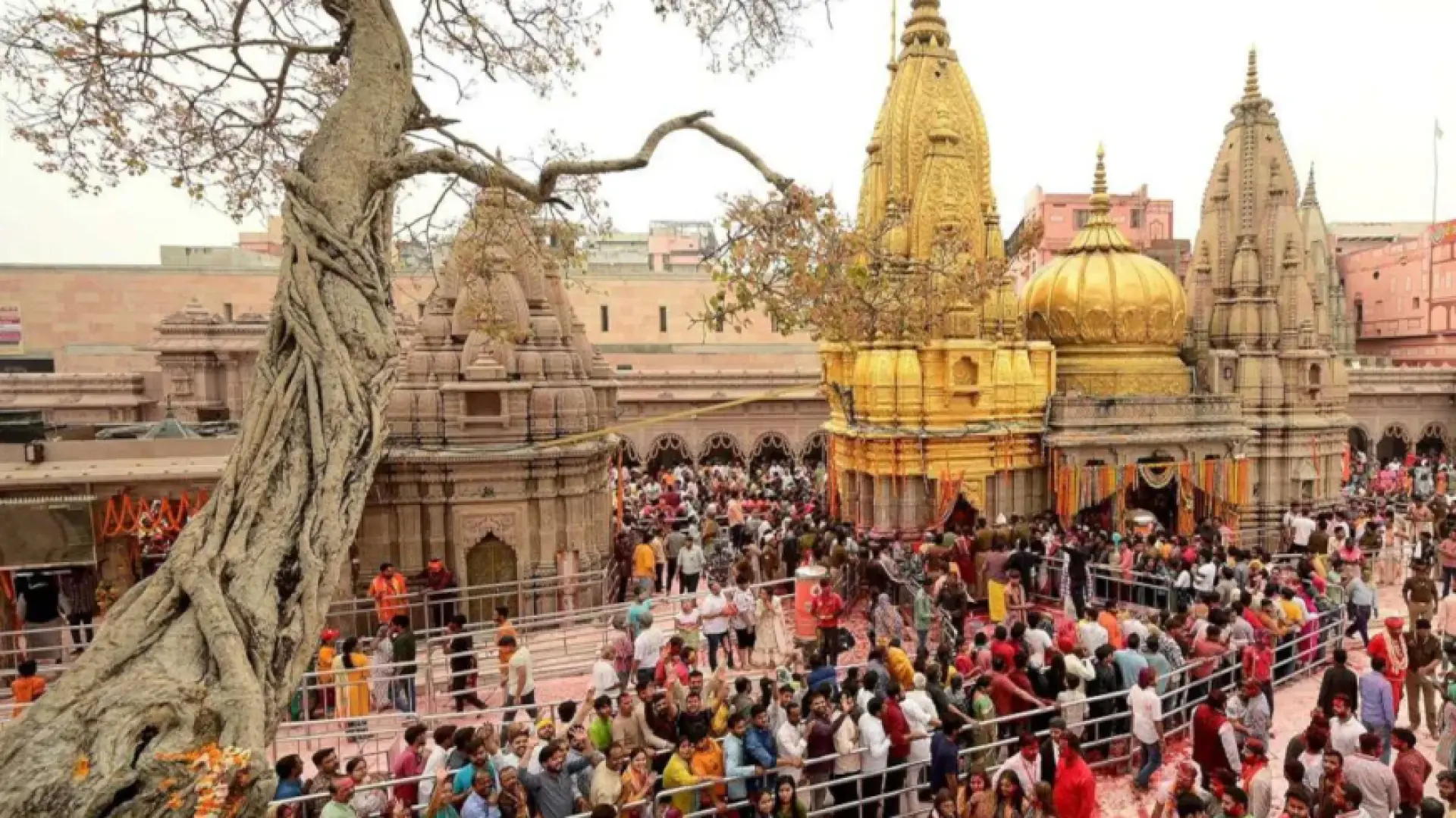 Kashi